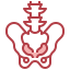 Pelvis icon 64x64
