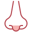 Nose Ikona 64x64