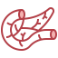 Pancreas icon 64x64