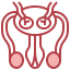 Reproductive system icon 64x64