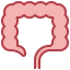 Large intestine ícono 64x64