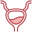 Bladder アイコン 64x64