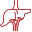 Liver Symbol 64x64