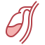 Gallbladder icon 64x64