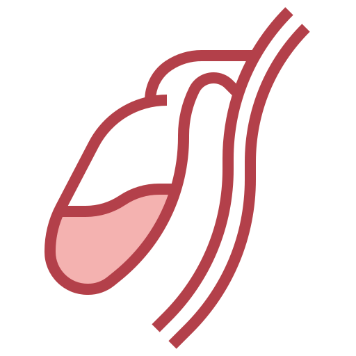 Gallbladder icon