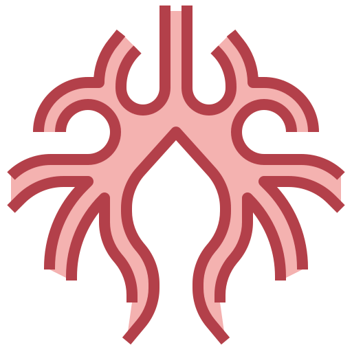 Bronchus icon