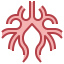 Bronchus icon 64x64