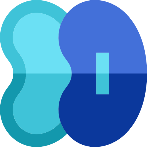 Kidneys icon