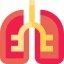 Lungs ícono 64x64