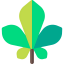Leaf icon 64x64