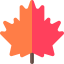Maple leaf icon 64x64