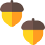 Acorn icon 64x64