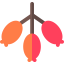 Berries icon 64x64