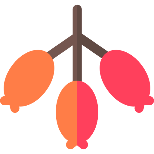 Berries icon