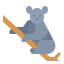 Koala icon 64x64