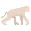 Monkey Symbol 64x64