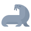 Sea lion icon 64x64