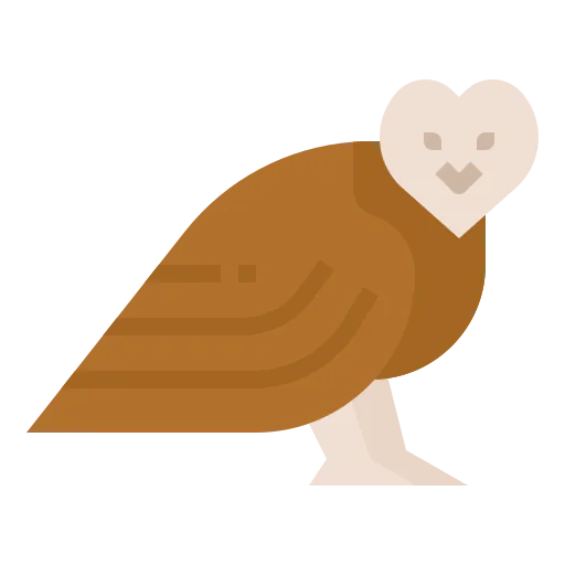 Owl icon