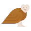 Owl アイコン 64x64
