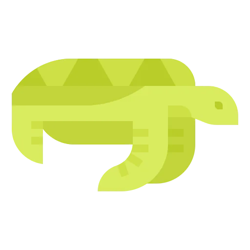 Turtle icon