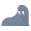 Walrus icon 64x64