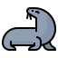 Sea lion icon 64x64