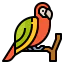 Parrot icon 64x64