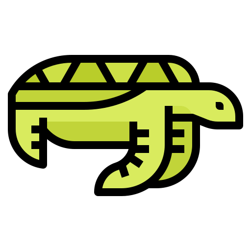 Turtle icon