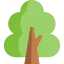 Tree icon 64x64