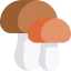 Mushrooms icon 64x64