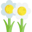 Flowers icon 64x64