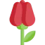 Flower icon 64x64