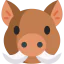 Boar icon 64x64