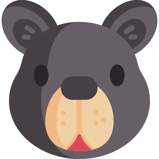Bear icon