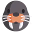 Walrus icon 64x64