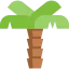 Palm Ikona 64x64