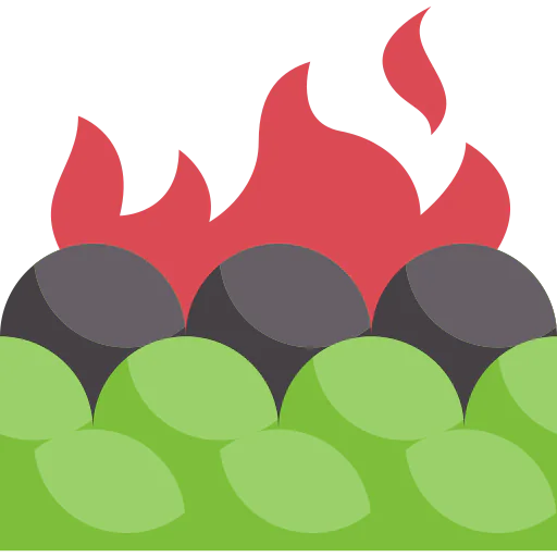 Fire icon