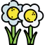Flowers icon 64x64