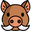 Boar icon 64x64