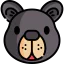 Bear 图标 64x64