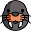 Walrus icon 64x64