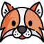 Fox icon 64x64