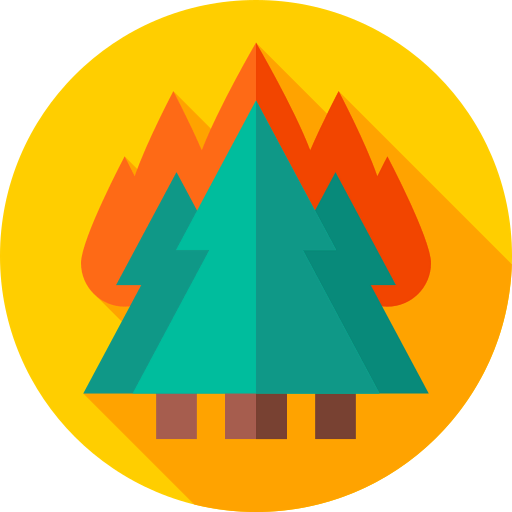 Forest fire icon