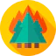 Forest fire icône 64x64