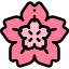 Cherry blossom icon 64x64