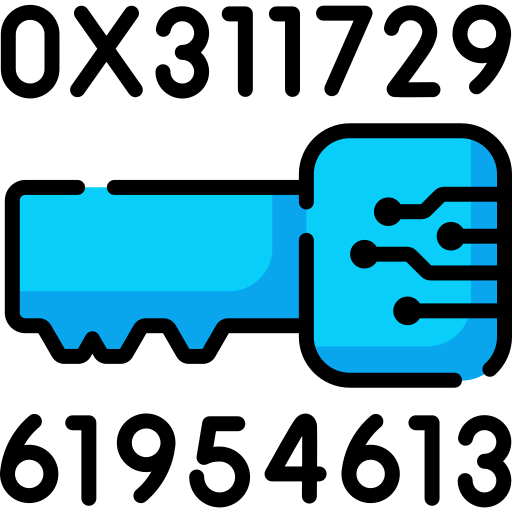 Private key icon