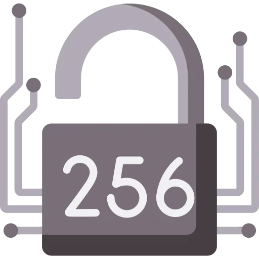 SHA 256 icon