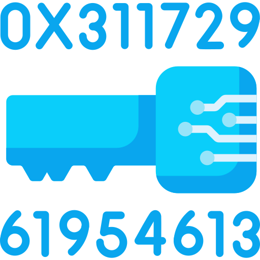 Private key icon