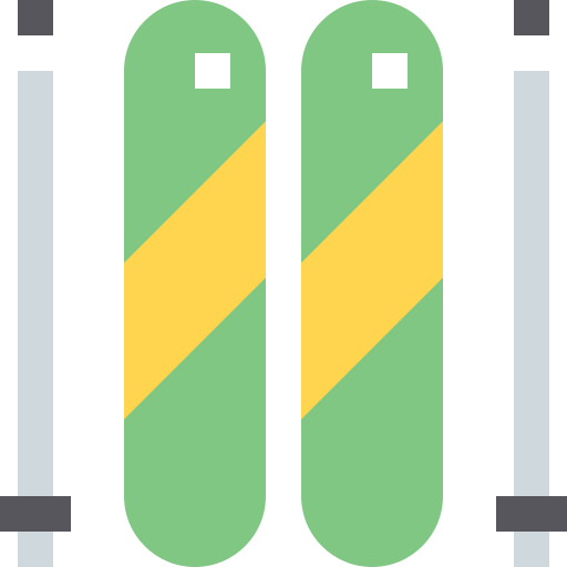 Ski icon