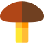 Mushroom icon 64x64